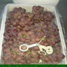 Rote Trauben-Trauben der frischen Traube für süßen Rotwein